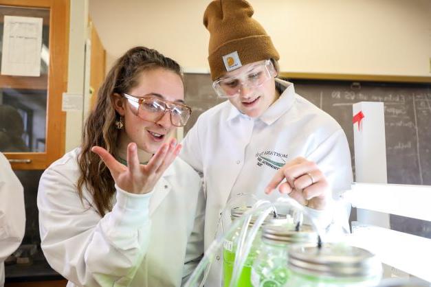 Students work with jars full of bright green fluid in a laboratory